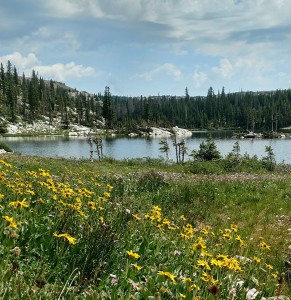 Mirror Lake 2